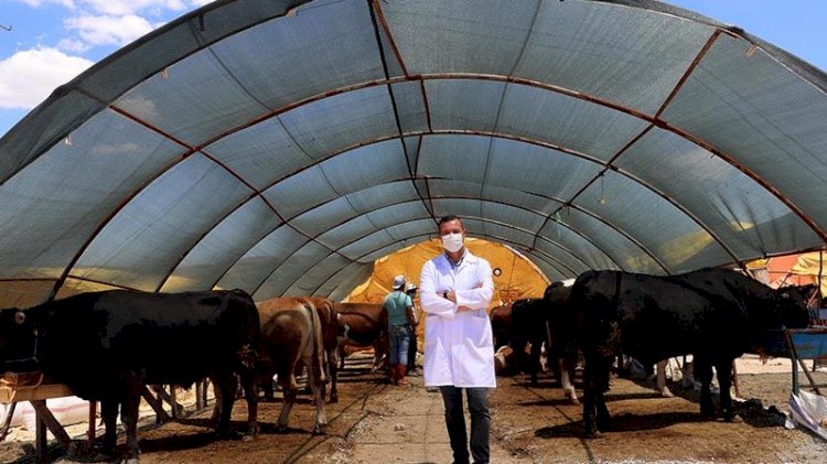 Bilim Kurulu üyesinden 'kurban pazarı' uyarısı