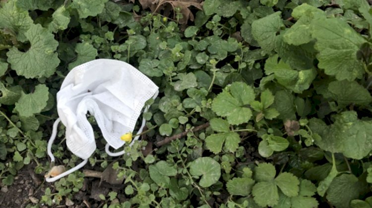 Sokağa atılan maskeler virüs bulaşma riskini artırıyor