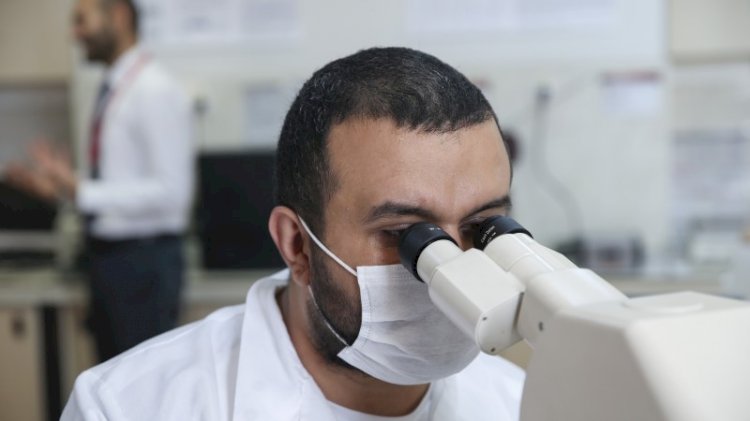 Kanserle savaşacak 'uyuyan hücrelerin' şifrelerini keşfettiler