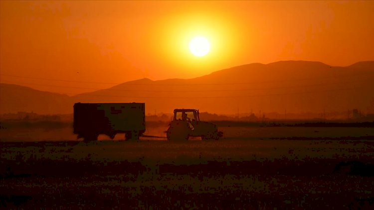 Meteoroloji uyardı: Sıcak hava dalgası geliyor
