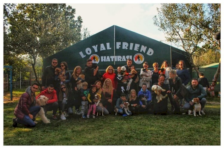 Köpeklerinizi Emanet Edebileceğiniz Güvenilir Bir Yuva : Loyal Friend
