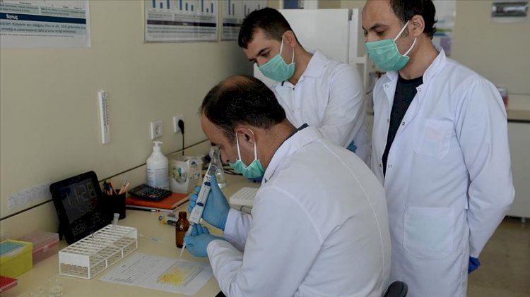 Türkiye'deki test kitleri bozuk mu? Sağlık Bakanlığı'ndan açıklama