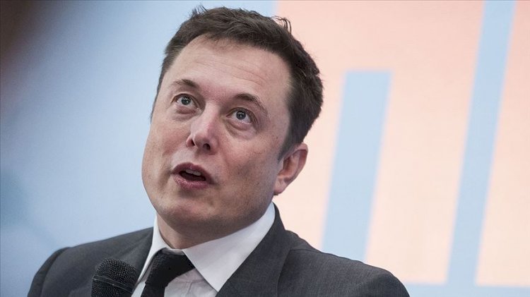 Elon Musk beynine çip takılan domuzu tanıttı