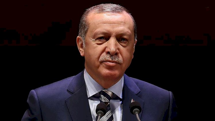 Erdoğan'dan Wilders hakkında suç duyurusu