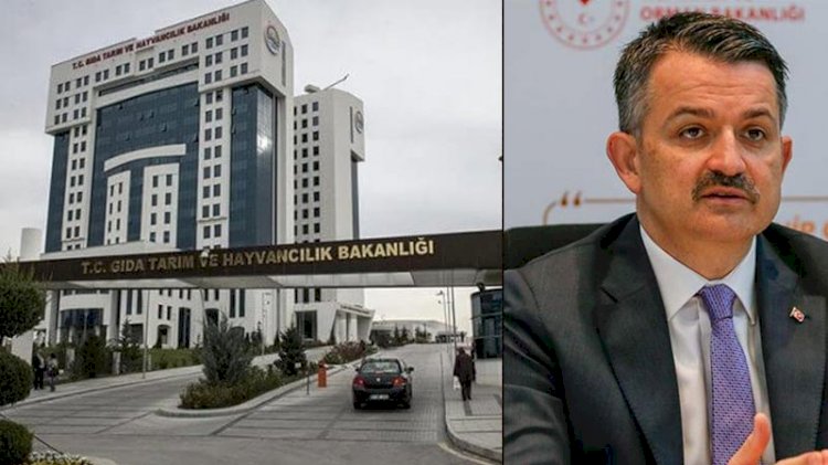 Çarpıcı iddia: Görevden alınan FETÖ şüphelisi hâlâ bakanlıkta