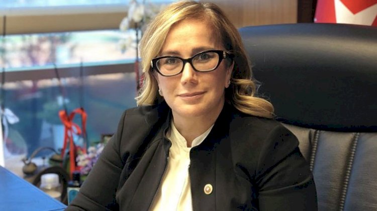 AKP'li vekilden 'İstanbul Sözleşmesi' çıkışı: Toplumu bozduğunu söylemek akla ziyan bir tutum