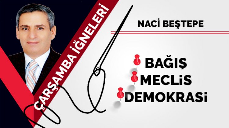 Bağış, Meclis, Demokrasi