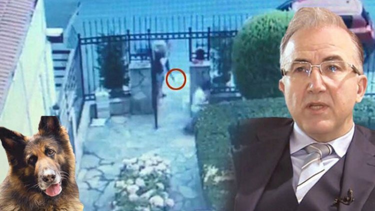 Nero'yü öldüren Alp Erkin'in, evine Gabon Fahri Konsolosluğu tabelası astığı ortaya çıktı