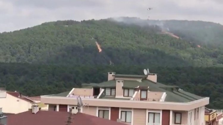Aydos'ta orman yangını
