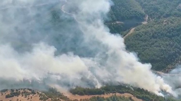 İzmir'de çıkan orman yangınına müdahale ediliyor