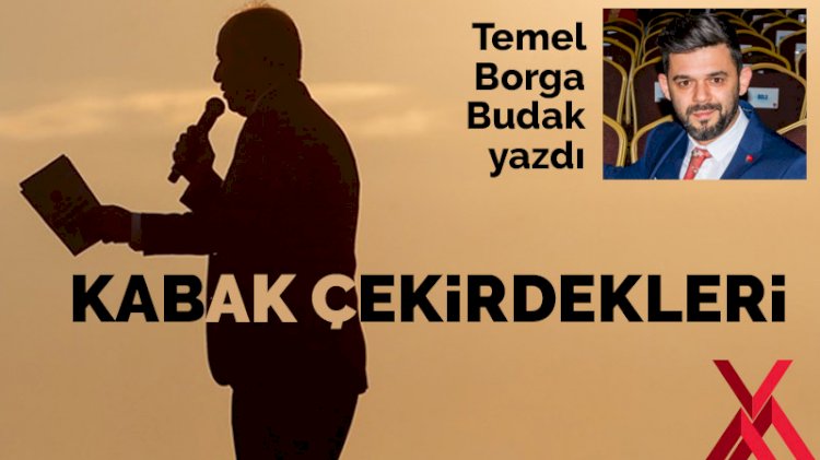Kabak Çekirdekleri