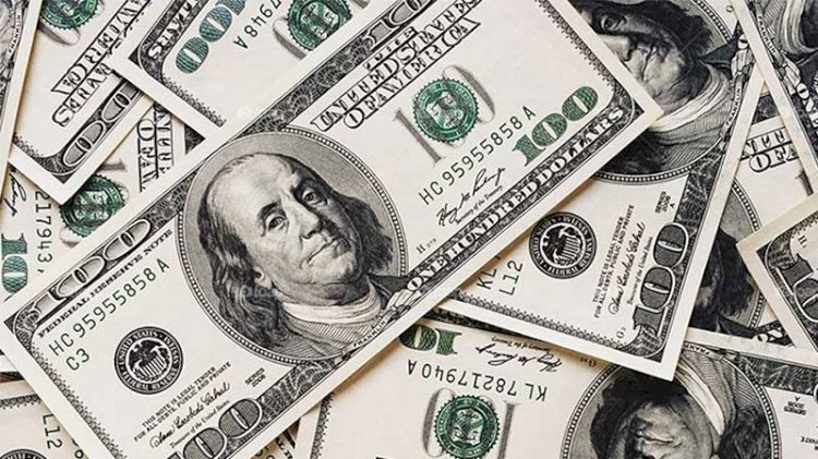 Dolar kaç lira oldu?