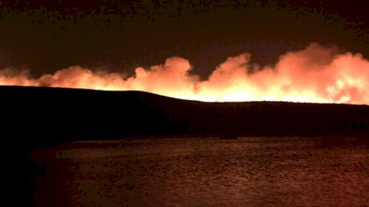 Çeşme'de korkutan yangın
