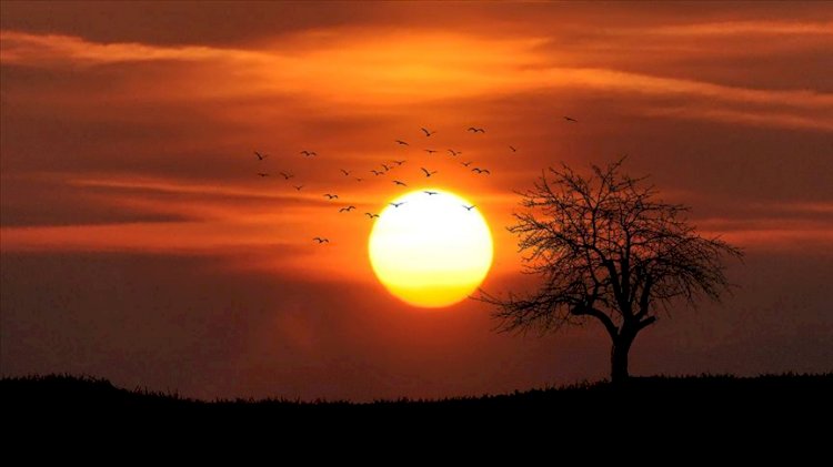Temmuz ayı, Kuzey Yarımküre'de 'en sıcak ay' olarak kayıtlara geçti