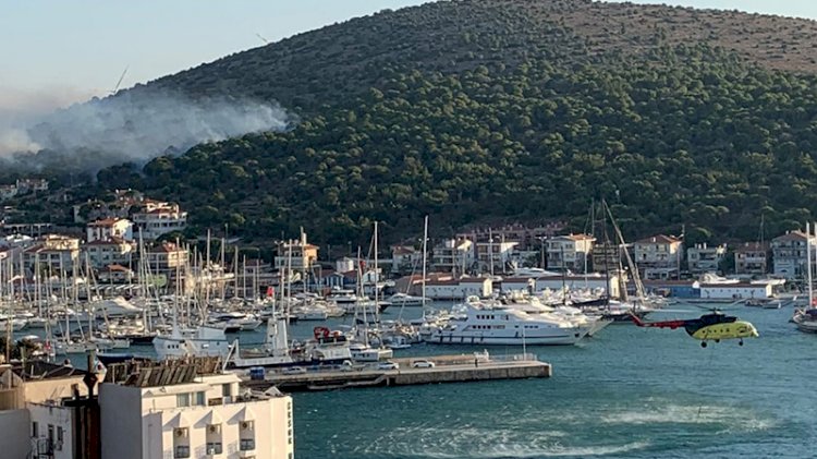 Çeşme'de yerleşim yeri yakınında yangın
