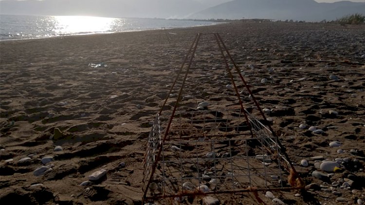 Antalya'da caretta carettaların üreme alanına iş makinesiyle girildi