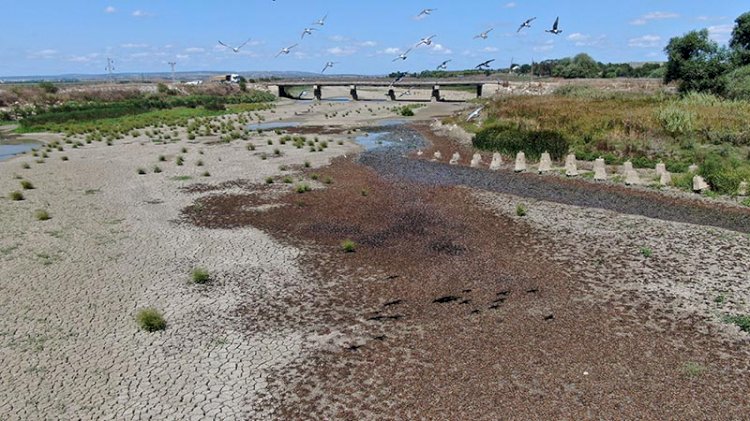 Büyükçekmece Gölü'nde korkutan görüntü: Sular çekildi