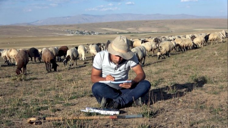 Çobanlık yaparken çalıştı, tıp fakültesini kazandı