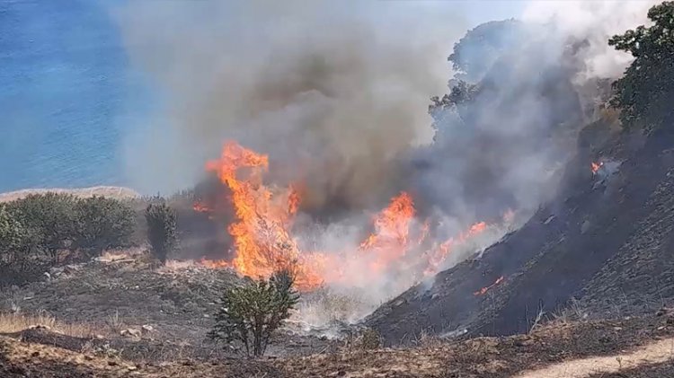 Silivri'de mangal yakan tatilci yangın çıkardı