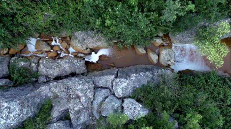 Eynerce Deresi'nde kimyasal atık şüphesi