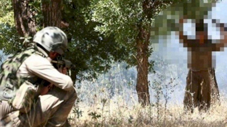 Şırnak'ta 3 terörist daha teslim oldu
