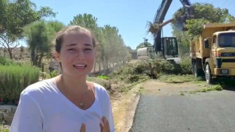 Belediyenin ağaç katliamını gözyaşlarıyla anlattı