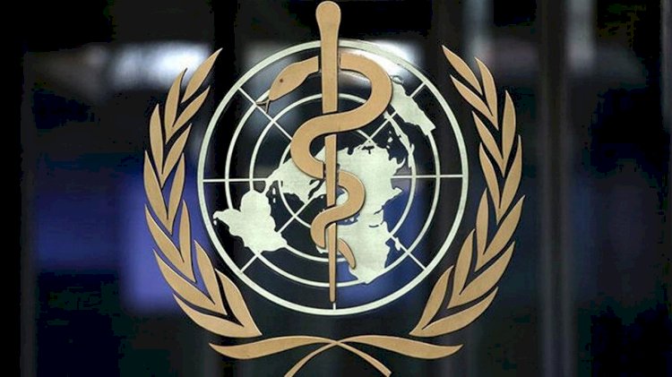 DSÖ Türkiye Ofisi'nden Türkiye'deki koronavirüsle ilgili röportajına ilişkin açıklama