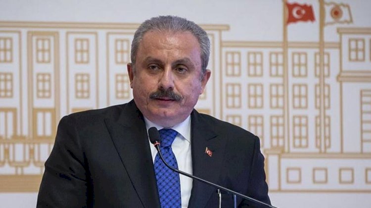 Mustafa Şentop'tan 'idam' açıklaması