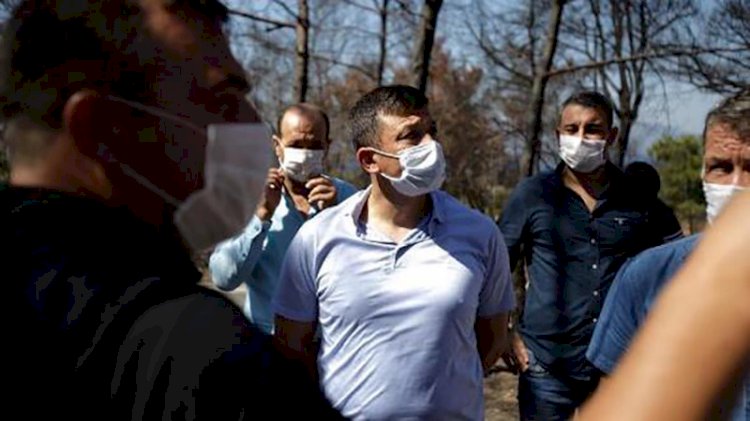 AKP'li Hamza Dağ: Yanan ağaçlar mangal kömürü olarak ekonomiye kazandırılacak