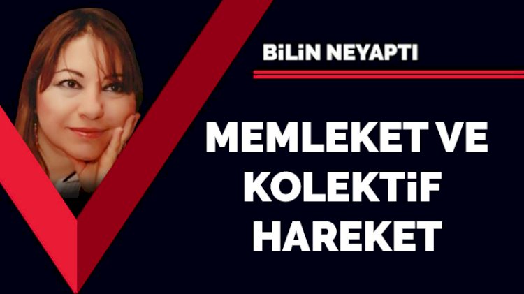 Memleket ve kolektif hareket