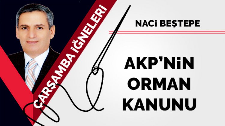 AKP'nin orman kanunu