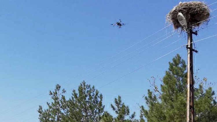 Göçe başlayan leyleklerin yuvalarını dronla tespit edip, bakım yaptılar