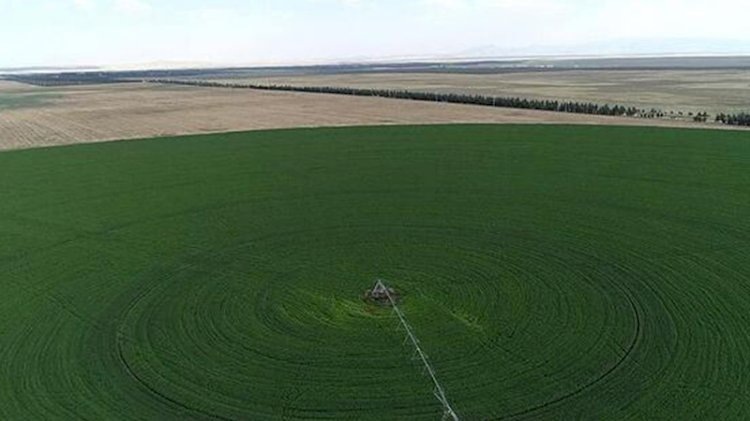 Hazine arazisinde çiftçilik için 6 pilot il