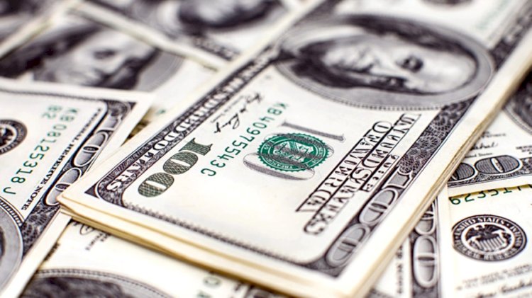 Dolar rekor tazeledi