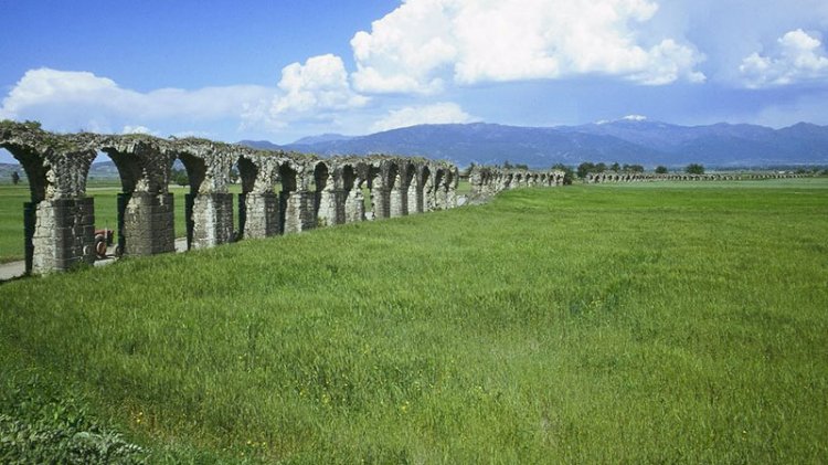 Erzin 'canlı hayvan çöplüğü' olmak istemiyor