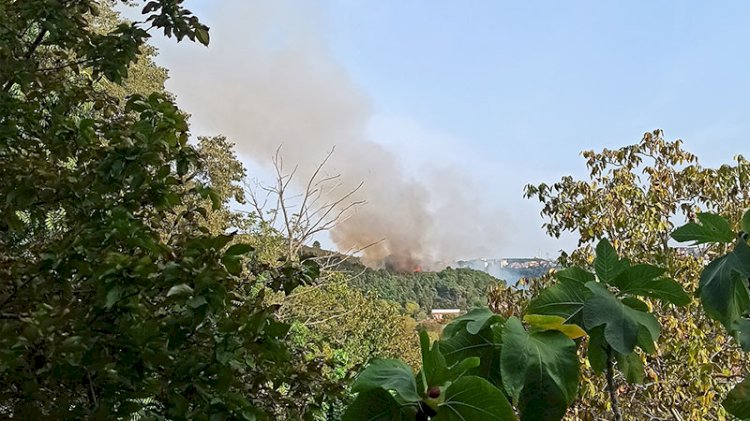 Beykoz'da yangın!