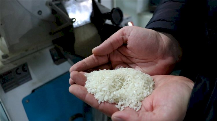 'Yerli' yazan paketten Yunan pirinci çıktı!