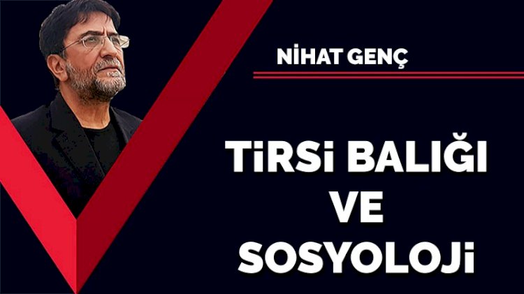Tirsi balığı ve sosyoloji