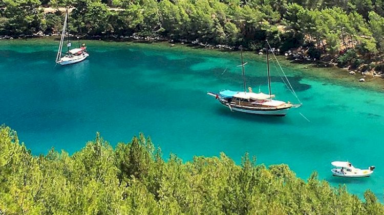 Doğa harikalarına santral işgali... Muğla'da 32 saha ilana çıktı!