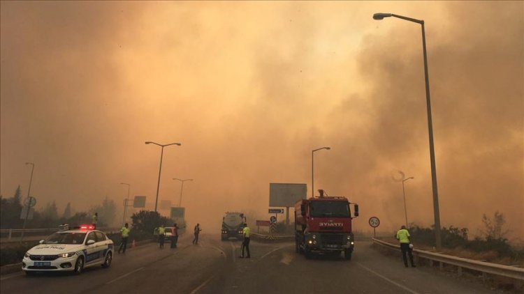 Hatay'daki orman yangınında 2 tutuklama