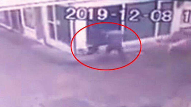 Bu oyuna gelmeyin! Hayvanseverlere büyük tuzak