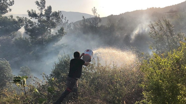 Hatay'da yerleşim yerine sıçrayan yangında son durum