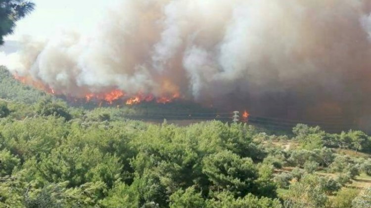 Hatay yanmıyor, yakılıyor! Sabotajı 'terörün çocukları' üstlendi