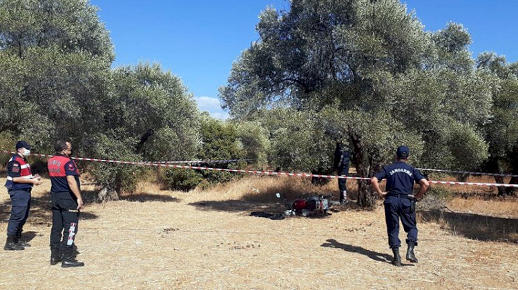 İtfaiye eri, zeytinlikte kendini astı
