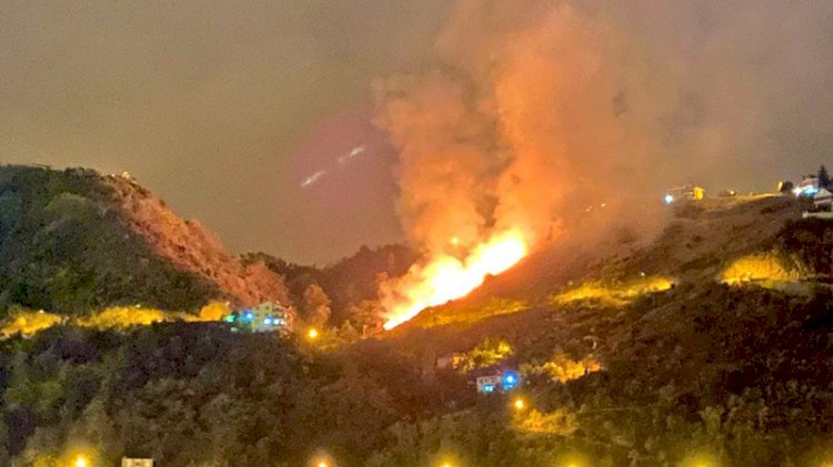 Trabzon'daki yangın kontrol altına alındı