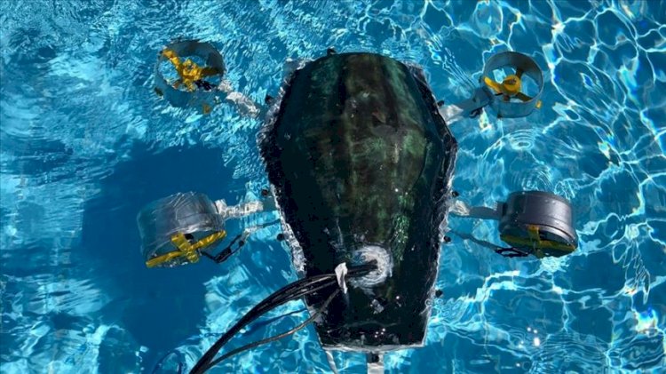 Kaplumbağadan ilham alan üniversiteli gençlerden büyük buluş: Su altı drone'u