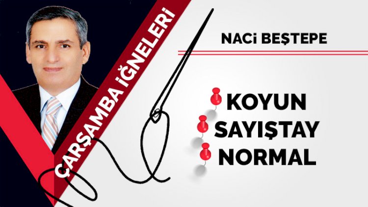 Koyun, Sayıştay, Normal