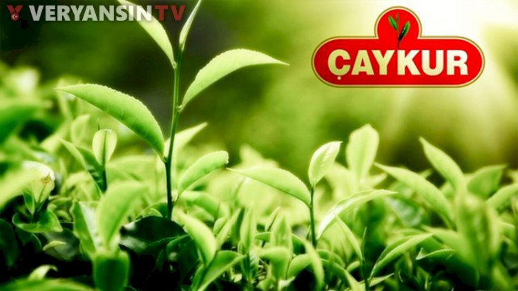 Reklam paraları kimlere aktı? 'Varlık Fonu'na geçince zarar etmeye başladı'