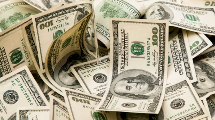 Merkez Bankası'nın faiz kararı sonrası dolar uçtu