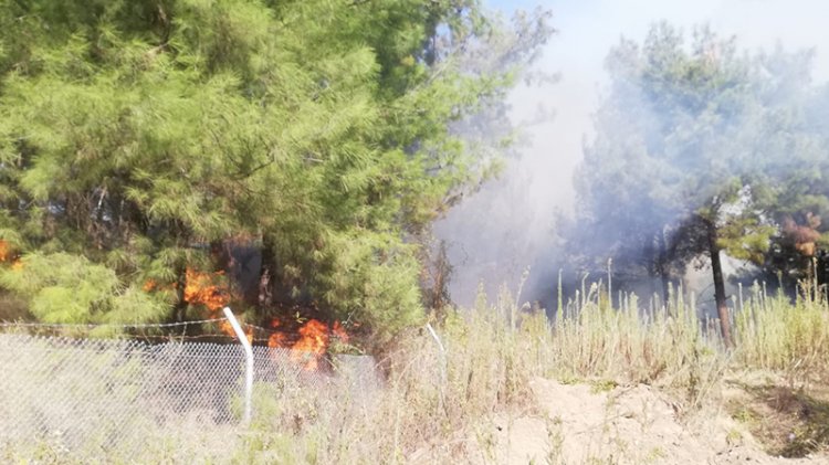 İskenderun ve Mersin'de orman yangını